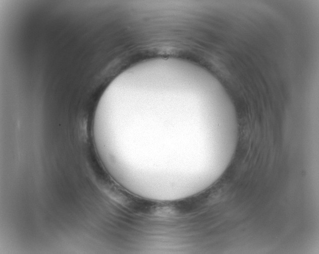 X0000068270262200605121853