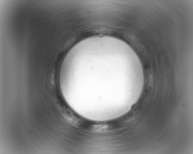 X0000068270266200605121854