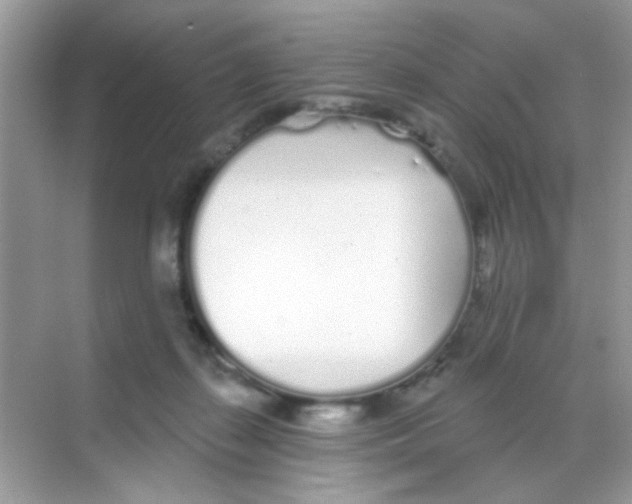 X0000068270267200605121854