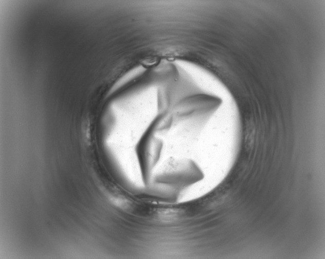 X0000068270268200605121854