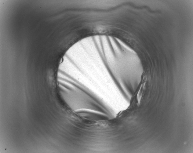 X0000068270270200605121854