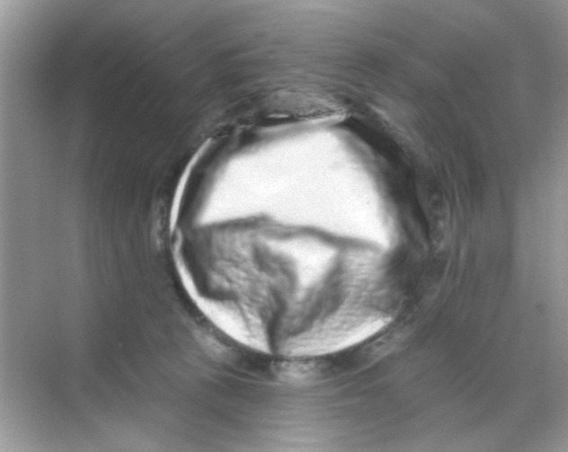 X0000068270273200605121854