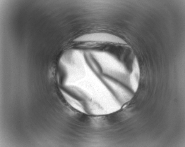 X0000068270281200605121854