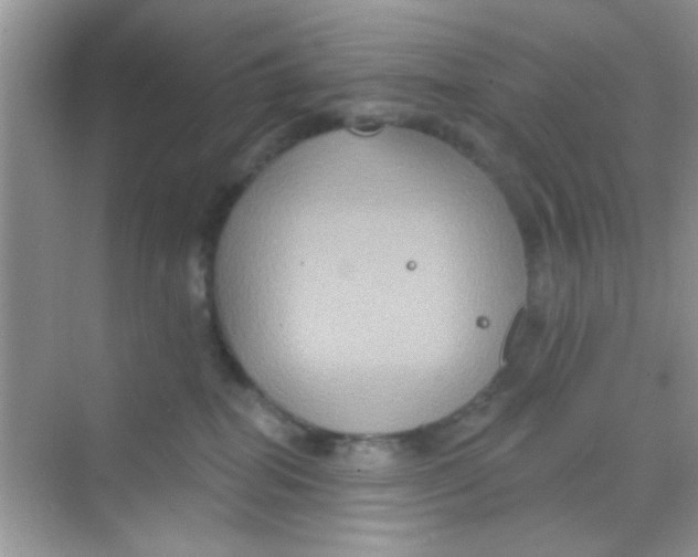 X0000068270282200605121854