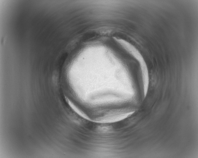 X0000068270283200605121854