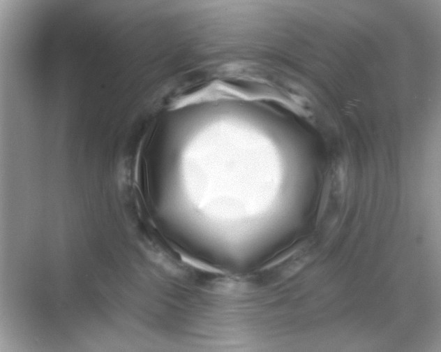 X0000068270284200605121854