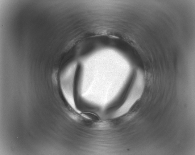 X0000068270286200605121854