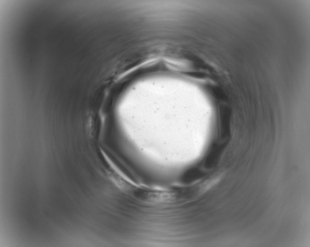 X0000068270288200605121854