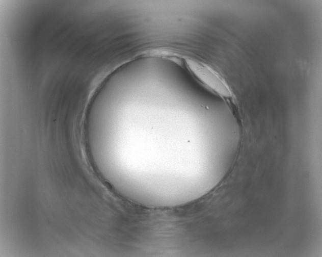 X0000068270289200605121853