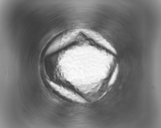 X0000068270290200605121853