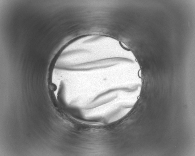 X0000068270292200605121853