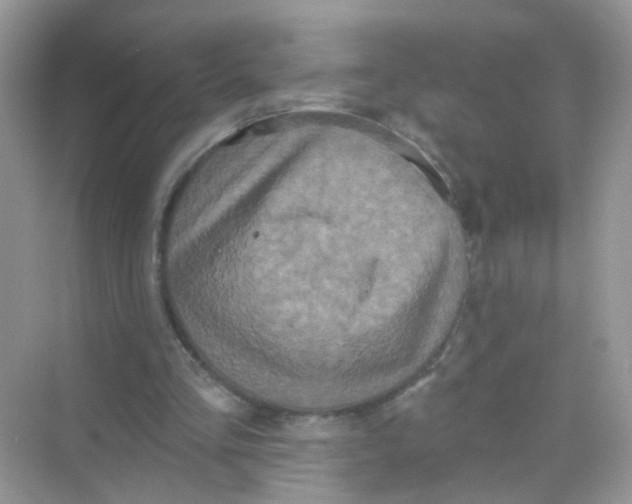 X0000068270293200605121853