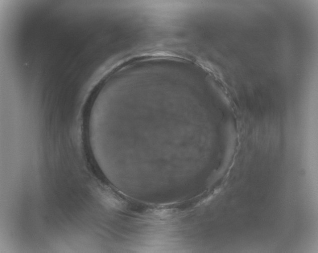 X0000068270295200605121853