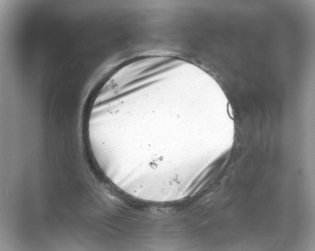 X0000068270296200605121853