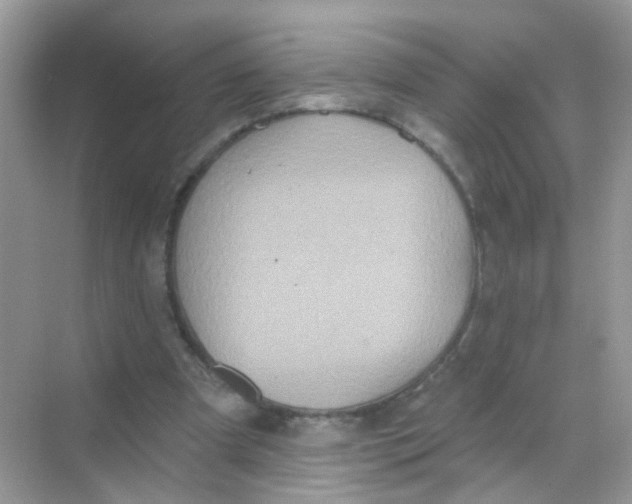 X0000068270297200605121853