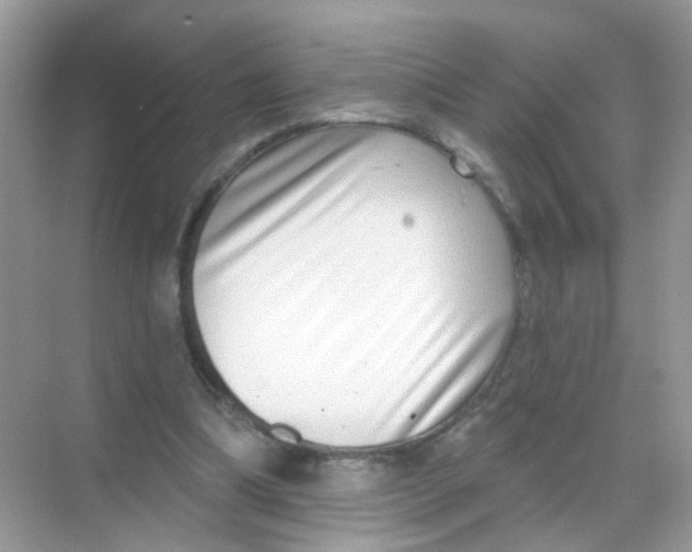 X0000068270298200605121853