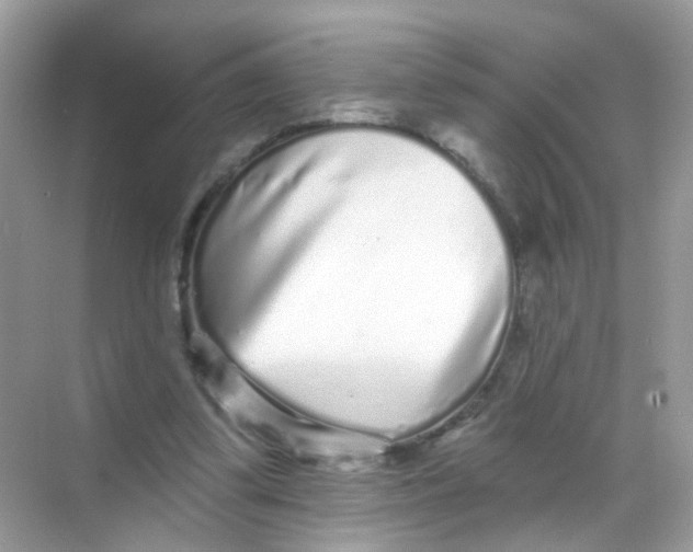 X0000068270299200605121853