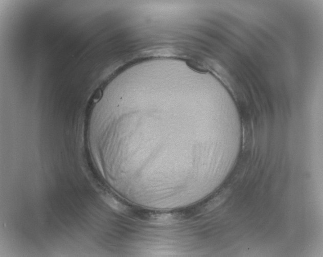 X0000068270301200605121853