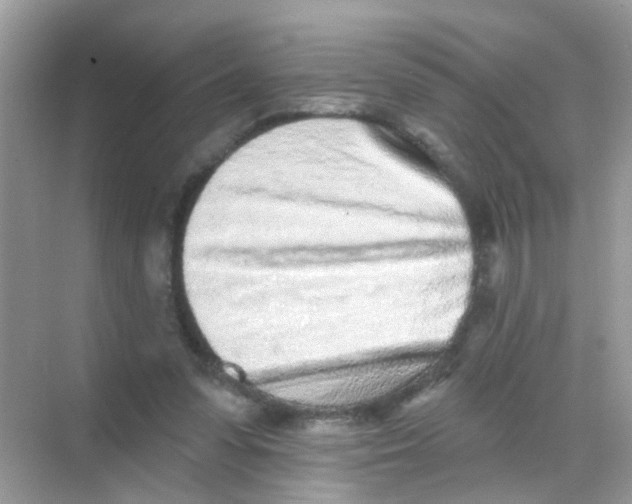 X0000068270303200605121853