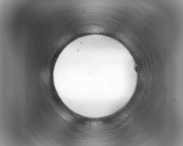 X0000068270304200605121853