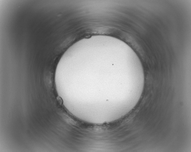 X0000068270305200605121853