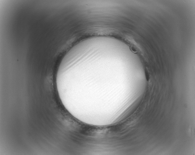 X0000068270306200605121853