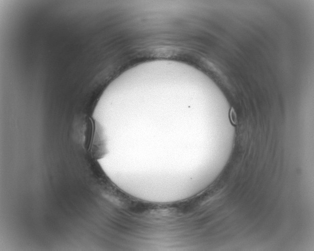 X0000068270307200605121853