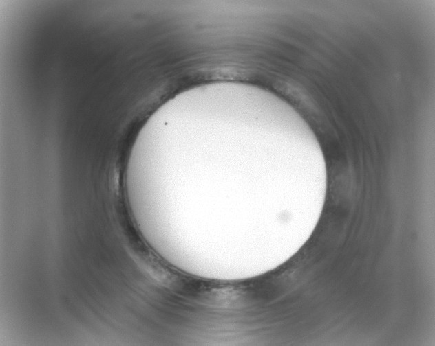 X0000068270310200605121853