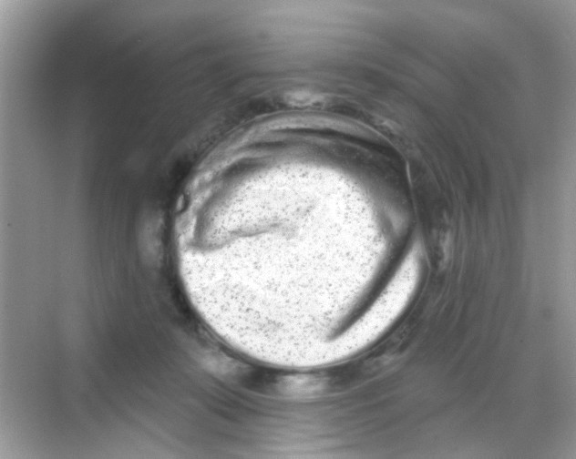 X0000068270319200605121853