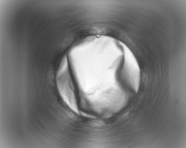 X0000068270322200605121853