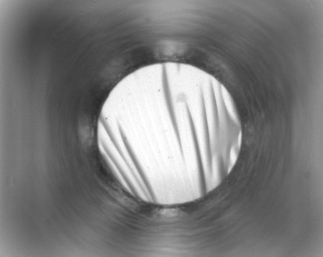 X0000068270324200605121852