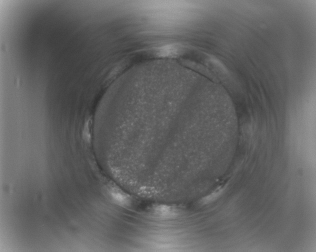 X0000068270325200605121852