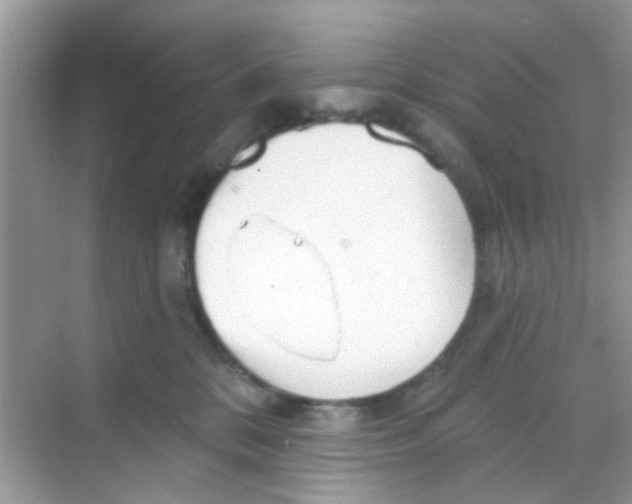 X0000068270328200605121852