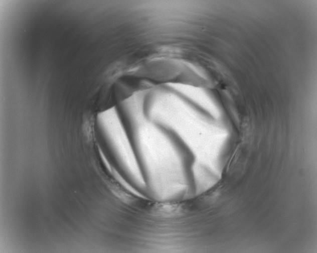 X0000068270329200605121852