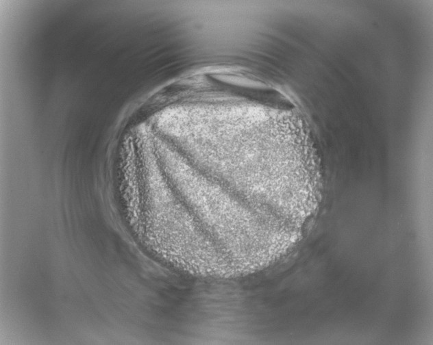 X0000068270337200605121851