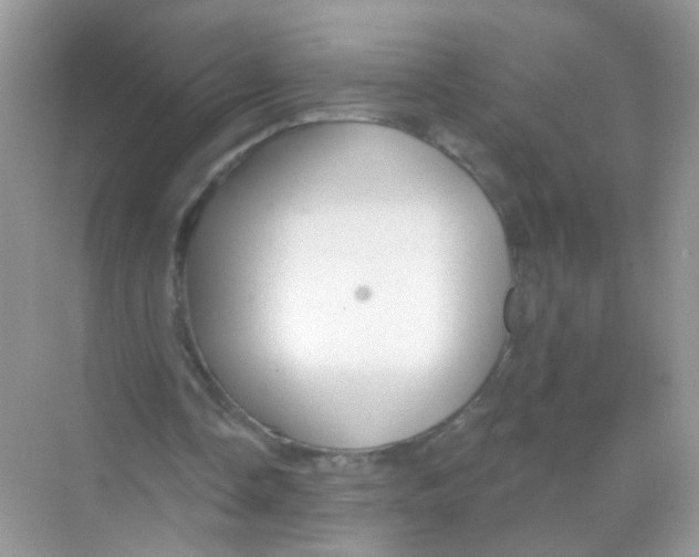 X0000068270338200605121852