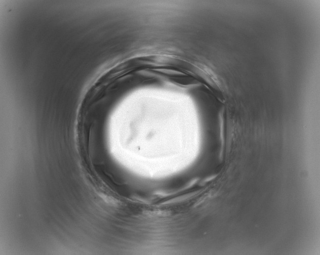 X0000068270340200605121852