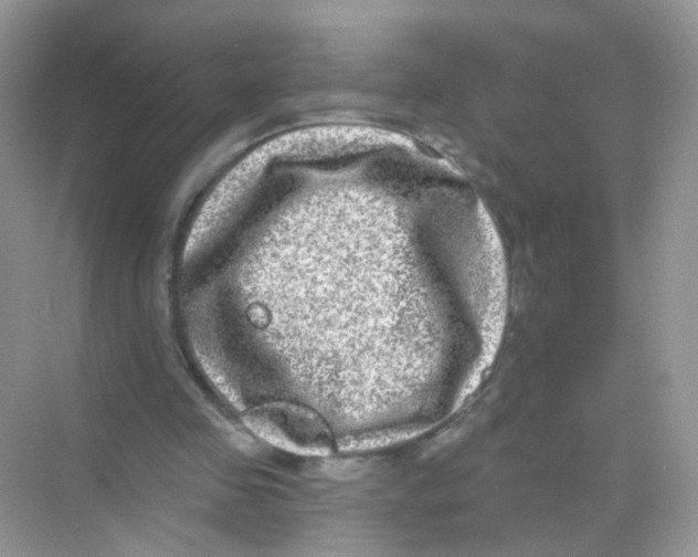 X0000068270341200605121852