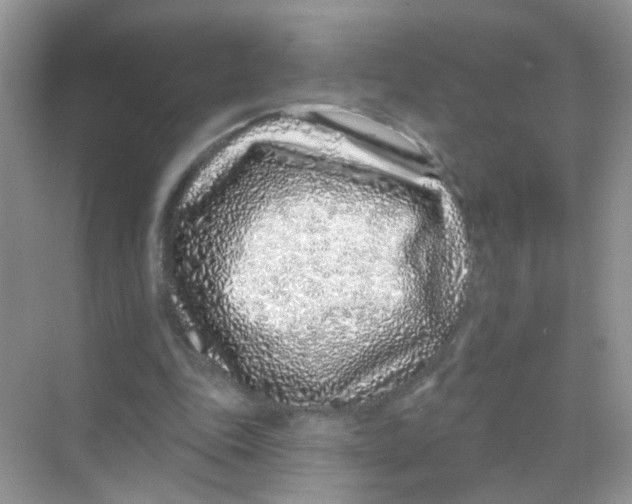 X0000068270343200605121852