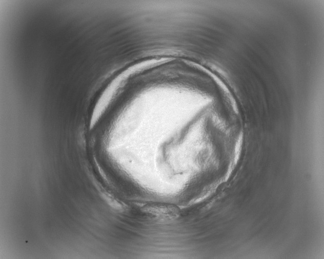 X0000068270345200605121852