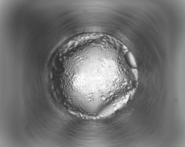 X0000068270347200605121852