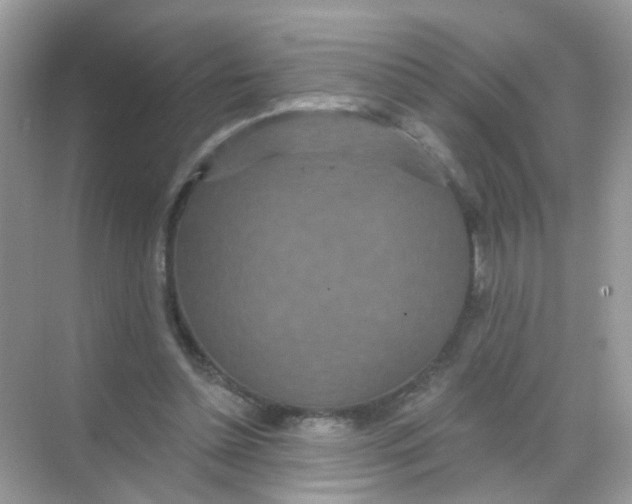 X0000068270348200605121852