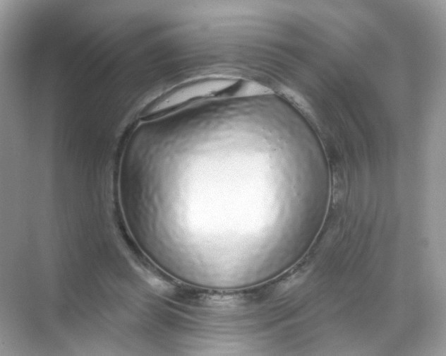 X0000068270349200605121852