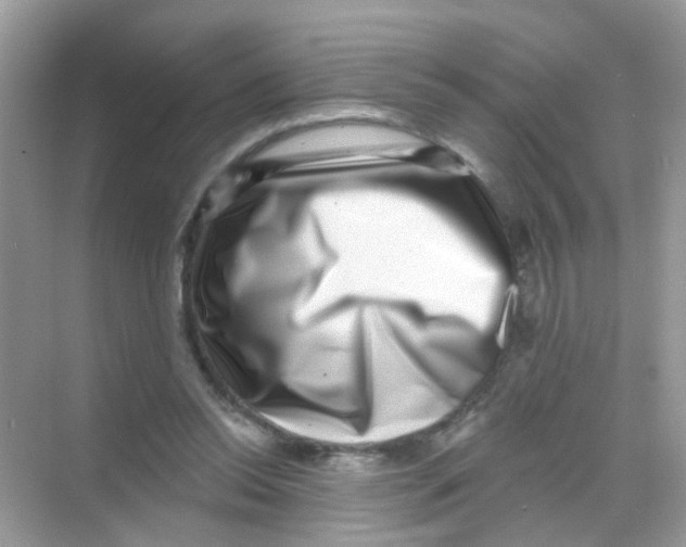 X0000068270350200605121852