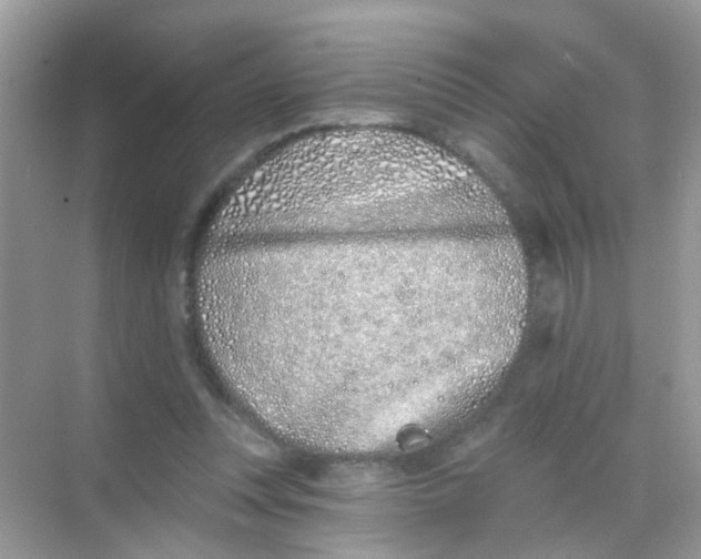 X0000068270351200605121852