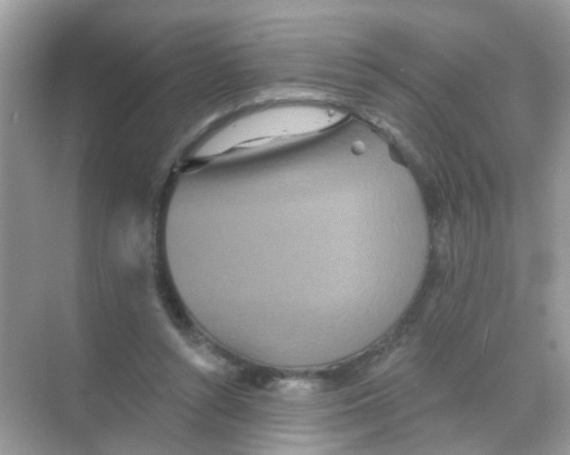 X0000068270352200605121852