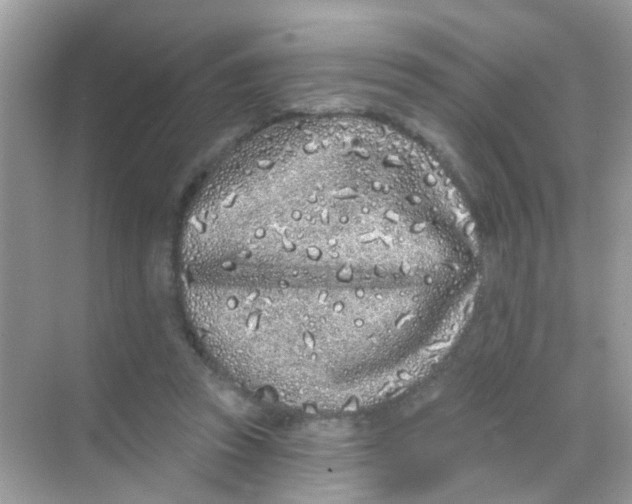 X0000068270353200605121852