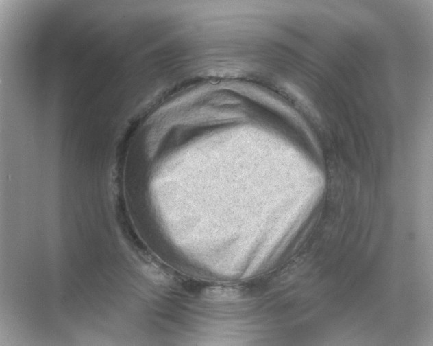 X0000068270354200605121852