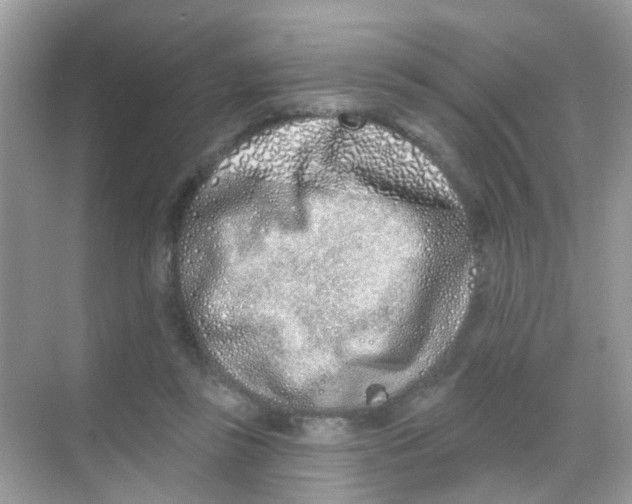 X0000068270355200605121852