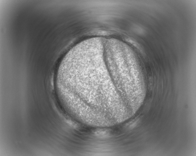 X0000068270358200605121852